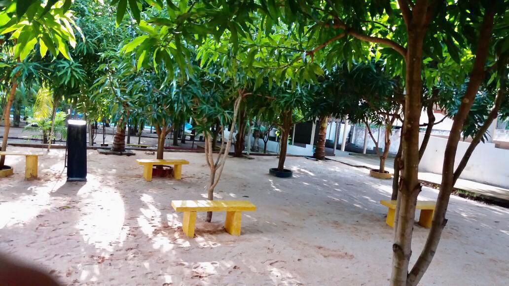 Piscina natural cercada por palmeiras